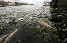 Odra. Odwołano prokuratora, który katastrofą zajął się jako pierwszy