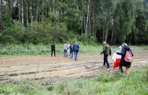 Cięły drut na granicy, mają być doprowadzone do szpitala psychiatrycznego