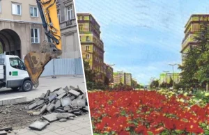 Znika beton, będą róże! Rozpoczęła się przebudowa alei Róż w Krakowie