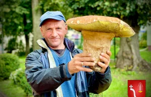 Gmina Horyniec-Zdrój: Pan Janusz znalazł ogromnego grzyba!