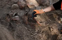 Odnaleziono szczątki 14 żołnierzy we wspólnej mogile