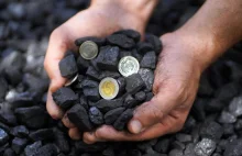 Płaci sporo, a importowany węgiel z Indonezji to bubel?