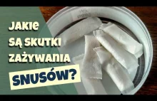 Snusy - czy są szkodliwe?