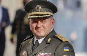 Generał Załużny o mobilizacji w Rosji: zniszczymy wszystkich....