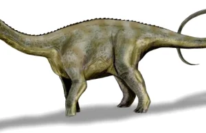 Nigerzaur – dinozaur wielkości słonia