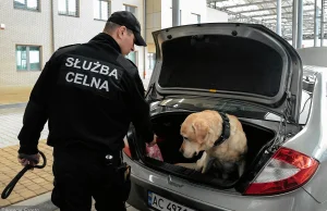 Czystki wśród celników. Ziobro planuje zastąpić celników swoimi ludźmi?