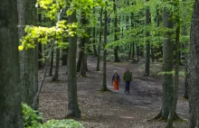 W Sopocie za 1,6 mln zł wyremontują szlaki turystyczne w lesie