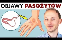 Objawy pasożytów w ciele i jak się nimi nie zarazić Dr Bartek Kulczyński