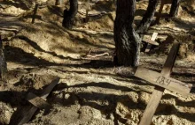 Ukraina: Odnaleziono kolejny masowy grób