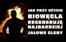 Jak przy użyciu biowęgla regeneruję najbardziej jałowe gleby