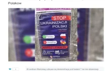 "Sukces" antyukraińskiej manifestacji Konfederacji.Dostrzegły ją media.Rosyjskie