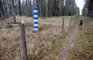 Finlandia. Straż Graniczna chce budowy ogrodzenia na granicy z Rosją
