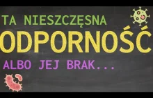 Układ odpornościowy - wszystko co najważniejsze w 10 minut