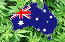 Australia zalegalizuje marihuanę jeszcze w tym roku? | | Świat Zielonych...