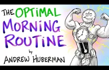 The Optimal Morning Routine - Andrew Huberman. [EN]