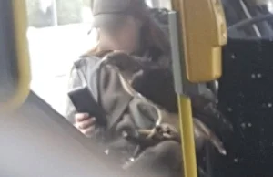 Kobieta z drapieżnym ptakiem w autobusie MPK