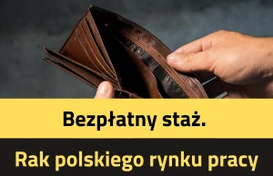 Panie Areczku, staż jest bezpłatny, nie musi Pan nic płacić