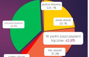 Kto choruje na Covid-19 w Polsce?