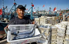 "NYT": Jak Chiny rabują oceany świata z ryb