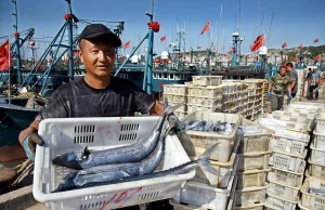 "NYT": Jak Chiny rabują oceany świata z ryb