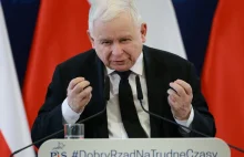 "Zbierali kartofle zasadzone dla dzików". O co chodziło Kaczyńskiemu?