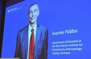 Nagroda Nobla 2022 z medycyny przyznana. Laureatem jest Svante Pääbo