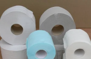 Czym zastąpić papier toaletowy?