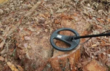 Ktoś zastawił metalową pułapkę w lesie pod Olsztynem. Aż strach pomyśleć!