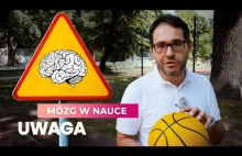 Mózg w nauce