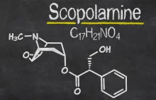 Skopolamina? Skład, pochodzenie, szkodliwość, narkotyk