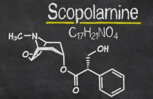 Skopolamina? Skład, pochodzenie, szkodliwość, n------k