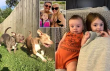 Dokonano eutanazji dwóch pitbulli, które zabiły 2 dzieci