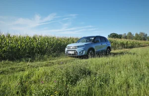 Suzuki Vitara Strong Hybrid - wady i zalety | Moto Pod Prąd