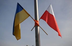 Zerwał i spalił flagę Ukrainy. Sąd w Toruniu wydał wyrok