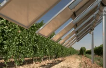 Inteligentna instalacja fotowoltaiczna pomaga w uprawie winorośli