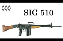 SIG 510 - Irytujący Historyk