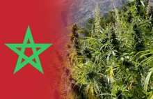 Maroko wydaje pierwsze pozwolenia na uprawę marihuany