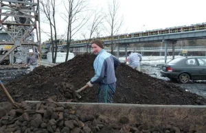 W Bełchatowie można kupić węgiel po 305,56 zł za tonę. Jest jednak jeden warunek