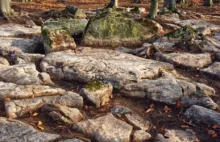 Tajemnice megalitów dąbrowskich