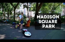 Madison Square Park - krótki spacer po typowym nowojorskim parku