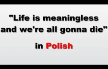 How to say 'Life is meaningless and we're all gonna die' in Polish
