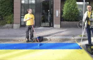 Finlandia. Jednoosobowe referendum. Rosyjskie miejsce parkingowe "anektowane"