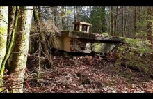 Bunkry w lesie,z drugiej wojny światowej.