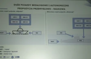 Delfiny dla Marynarki Wojennej już wkrótce, a Kijanki i Wieloryby trochę...