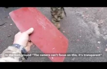 Ukraińscy żołnierze badają zdobytą rosyjską płytę pancerną