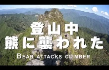 Wspinacz walczy z niedźwiedziem w Japonii