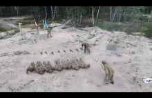 "Trening" w wykonaniu białoruskiej armii