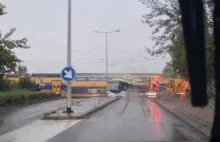 Zderzenie pociągu z autobusem na holenderskich torach [FILM