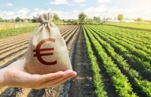 Jakie sposoby stosują rolnicy, aby uzyskać więcej dotacji z UE?