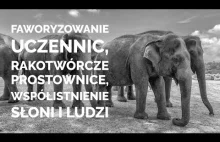 Rakotwórcze prostowanie włosów, faworyzowanie kobiet i siedliska słoni - #062